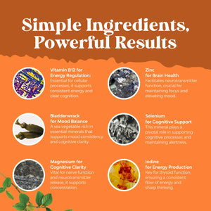 Herbal Thyroid Support Complex - Potent Kelp Iodine Supplement with L Tyrosine, Bladderwrack, Selenium & Pure Ashwagandha for Hormone Balance - PrimeBioHealth - canada supplements