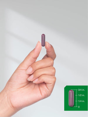 Horbäach Beet Root Powder Capsules | 320 Pills | Non-GMO, Gluten Free Formula | High Potency Herbal Extract Supplement - PrimeBioHealth - canada supplements