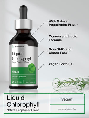 Horbäach Liquid Chlorophyll Drops | 2 oz | Vegan, Non-GMO, and Gluten Free Formula | Natural Peppermint Flavor - PrimeBioHealth - canada supplements