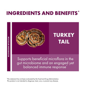 Host Defense Turkey Tail Capsules - Digestive Health & Immune Response Support Supplement - Mushroom Supplement for Gastrointestinal - PrimeBioHealth - canada supplements