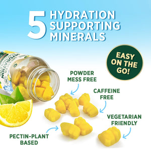 Hydration Electrolyte Gummies - Daily Liquid Replenisher Gummy - Electrolyte Multiplier with Minerals, Potassium & Real Salt - Vegan, Non-GMO - Tasty Lemon Flavor Hydration Electrolytes - 60 Gummies - PrimeBioHealth - canada supplements