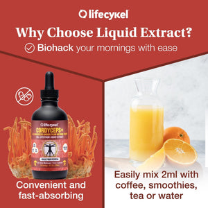 Life Cykel Cordyceps Mushroom Extract with Kakadu Plum - Energy, Stamina & Vitality Support, Natural Aging Supplement - Non-GMO and Vegan Tincture - 4Fl Oz - PrimeBioHealth - canada supplements