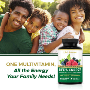 Life's Energy Advanced Daily Multivitamin for Men & Women, Energy and Immune Support Supplement with Super Greens, Antioxidants, Enzymes - PrimeBioHealth - canada supplements