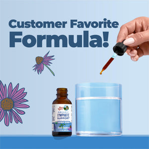 MARYRUTH'S Lymphatic Support Liquid Drops USDA Organic | Herbal Blend with Echinacea & Elderberry | Blue Vervain - PrimeBioHealth - canada supplements