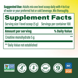 MegaFood Micronized Creatine Monohydrate Powder - Unflavored Post & Pre Workout Powder for Men & Women - Cognitive & Exercise Performance Support - PrimeBioHealth - canada supplements