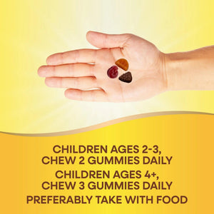 Nature's Way Alive! Children's Premium Gummy Multivitamin, Gluten Free, Made with Pectin, 90 Gummies - PrimeBioHealth - canada supplements