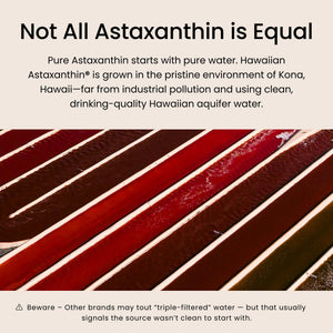 Nutrex Hawaii BioAstin Hawaiian Astaxanthin - 12mg, 90 Softgels - Farm-Direct Premium Antioxidant Supplement to Support Eye, Skin - PrimeBioHealth - canada supplements