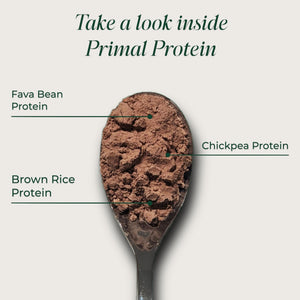 Primal Harvest Protein - Vegan Chocolate Protein Powder, Gluten & Dairy Free - PrimeBioHealth - canada supplements
