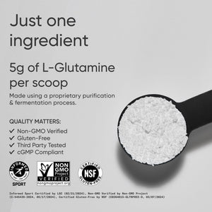 Sports Research L-Glutamine - Workout Recovery, Immune Health & Gut Health Support - 5 G Per Serving - 10.58 Oz - PrimeBioHealth - canada supplements
