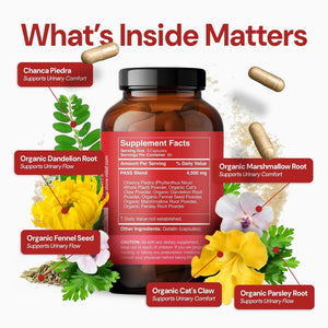 STONE RELIEF Daytime Herbal Kidney Support for Urinary Flow & Comfort | Chanca Piedra Formula – 180 Capsules - PrimeBioHealth - canada supplements