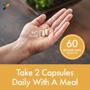 Stop Aging Now - BladderControl360 Formula - Bladder Control Support - Go-Less & Probiotics - Urinary Health Probiotic Supplement - Lactobacillus Rhamnosus, Pumpkin Seed & Soy Germ Extracts - 60 Vcaps - PrimeBioHealth - canada supplements
