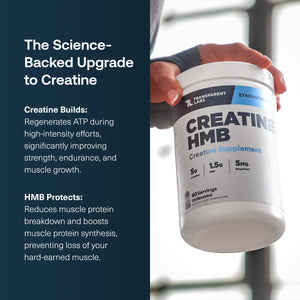 Transparent Labs Creatine HMB - Creatine Monohydrate Powder with HMB for Muscle Growth, Increased Strength, Enhanced Energy Output - PrimeBioHealth - canada supplements