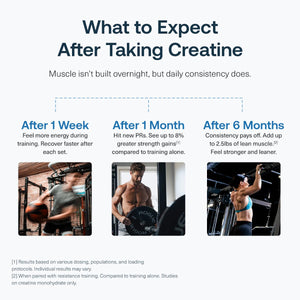 Transparent Labs Creatine HMB - Creatine Monohydrate Powder with HMB for Muscle Growth, Increased Strength, Enhanced Energy Output - PrimeBioHealth - canada supplements