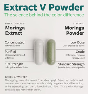 USDA Organic Moringa Capsules - High Potency Organic Moringa 500mg Extract 10:1 Per 1 Capsule Serving - Nutrient Dense Green Superfood Antioxidant - Vegan & Non-GMO Moringa (2 Month Supply) - PrimeBioHealth - canada supplements