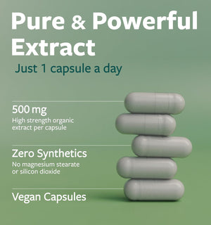 USDA Organic Moringa Capsules - High Potency Organic Moringa 500mg Extract 10:1 Per 1 Capsule Serving - Nutrient Dense Green Superfood Antioxidant - Vegan & Non-GMO Moringa (2 Month Supply) - PrimeBioHealth - canada supplements