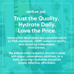 Venture Pal Sugar Free Electrolytes Powder Packets - Liquid Daily IV Hydration Packets | Instantly Hydrating & Party Recovery | 5 Vitamins & 7 Electrolytes - PrimeBioHealth - canada supplements