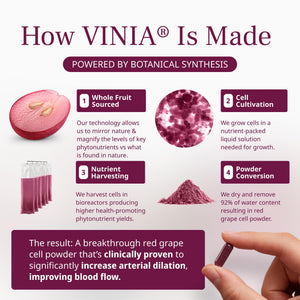 VINIA Piceid Resveratrol Supplement Capsules. Increases Blood Flow and Nitric Oxide. Blood Pressure and Heart Health Support - PrimeBioHealth - canada supplements