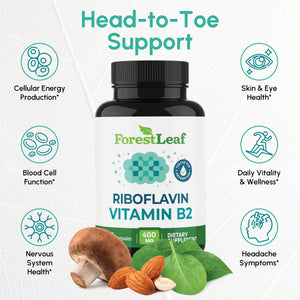 Vitamin B2 Riboflavin 400mg - Energy, Skin & Cellular Health Supplement - Nervous System Support - Vitamin B 2 Vit B - Non-GMO & Gluten Free - B2 Vitamin 400mg - PrimeBioHealth - canada supplements