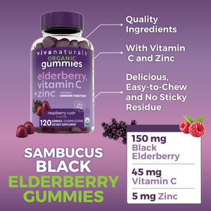 Viva Naturals Sambucus Elderberry Gummies for Adults - 150mg Black Elderberry Vitamin C and Zinc, 3-in-1 Daily Immune Support Gummies, Raspberry Rush Flavor - PrimeBioHealth - canada supplements