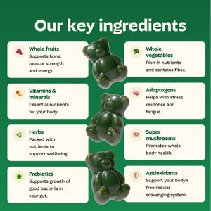 Gruns Sugar-Free Super Greens Gummies, Multivitamin Superfood Gummy Bears, Spirulina, Chlorella, Prebiotics & Fiber gummies for Digestive Health, Adaptogens Supplement, 20 Vitamins & Minerals, 10 pack Grüns buy supplements Au