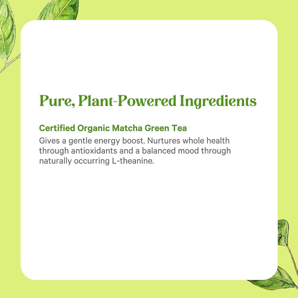PURE SYNERGY Matcha Power | Organic Matcha Green Tea Capsules | Ceremonial Grade Supplement with EGCG | for Enhanced Energy & Alertness (90 Capsules)