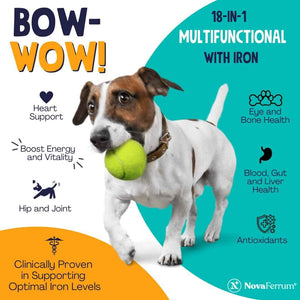 NovaFerrum Bow Wow | 18-in-1 Multifunctional with Iron Supplement for Dogs | Blood Support for Anemia | Glucosamine | Probiotics | Antioxidants | Chicken Flavor | 90 Chews