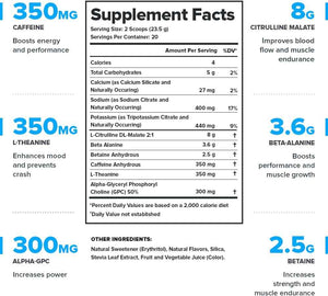 LEGION Pulse Pre Workout Supplement (Fruit Punch) Whey Protein Powder Chocolate - Whey+ Isolate Protein Powder