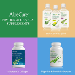 AloeCure VeraFlex Natural Joint Health, 60 Capsules, Clinically Tested Natural Plant-Based Formula to Support Comfort, Mobility and Flexibility - Featuring Organic Aloe Vera, 3-Pack AloeCureBuy Supplements Australia