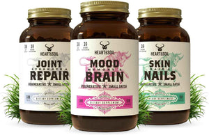 Sleep Stack - Includes Joint Strength & Repair, Skin, Hair & Nails, Mood Memory & Brain for Cognitive Function, Mobility, and Wellness