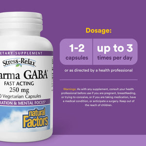 Natural Factors Pharma GABA - Dietary Supplement Supports Calm Sleep & Sleep Quality - Natural, Fast-Working Supplement Aids Focus & Brain Health - 60 Chewable Tablets (60 Servings) Natural Factors buy supplements Au