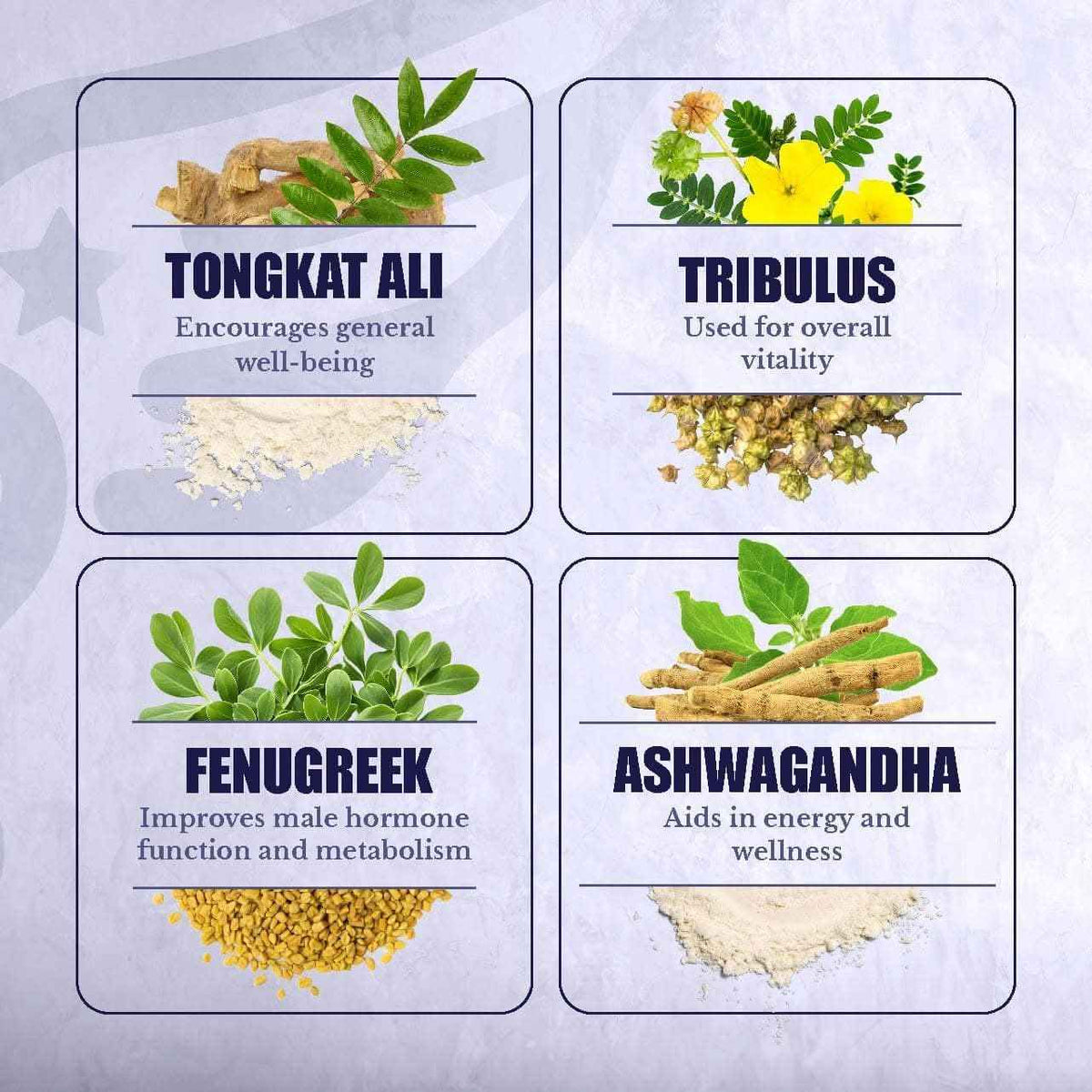 T-Forge | Supplements for Men | Male Energy Support | Tongkat Ali, Folic Acid, L-Arginine, Tribulus Terrestris, Ashwagandha, Fenugreek. 30 Days Supply. 90 Capsules