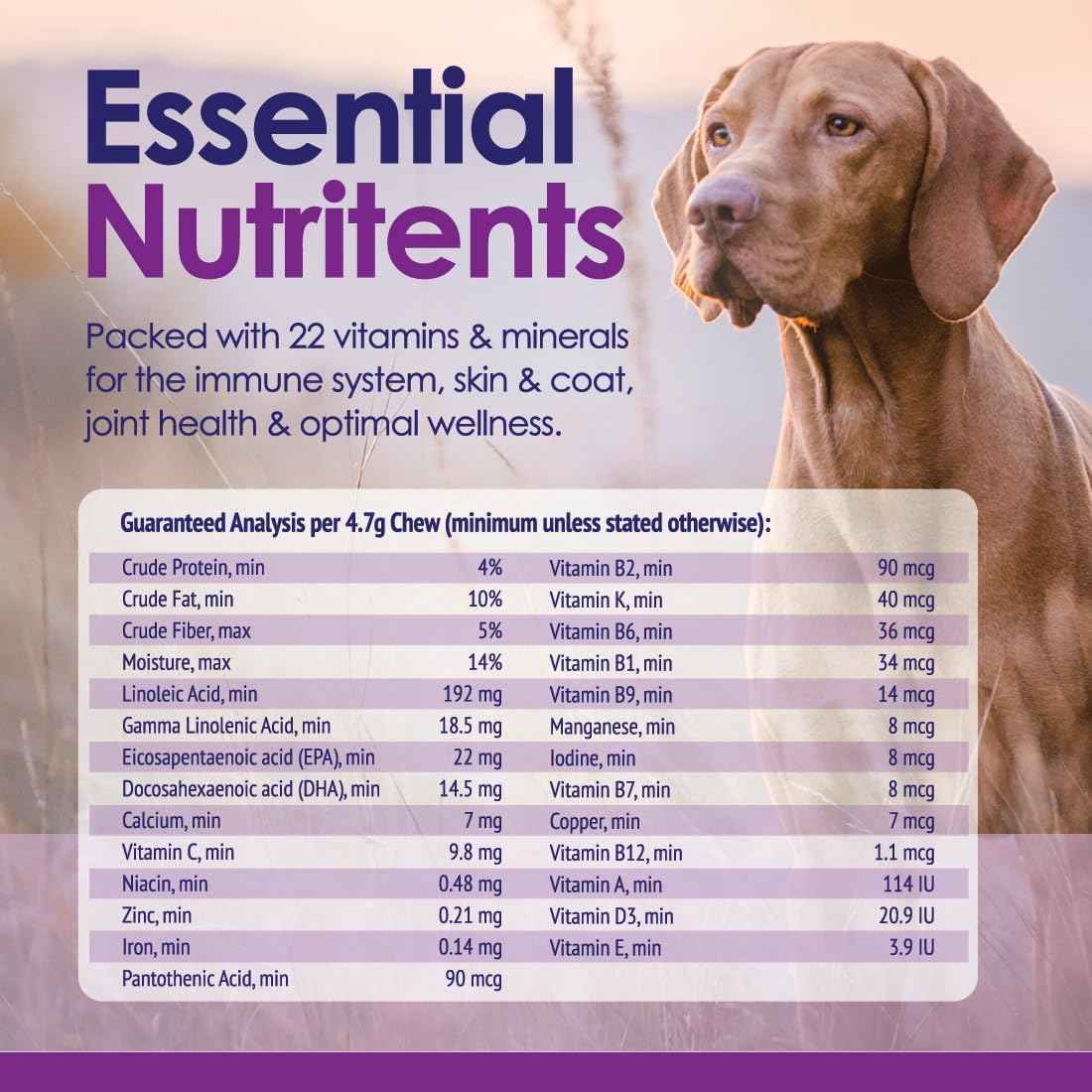Dog Multivitamin Chewable - 22 in 1 Dog Vitamins and Supplements with Green Lipped Mussel & Omega 3 for Joints, Skin & Coat, Immune System - Senior & Puppy Multivitamin for Dogs - 60 Beef Chews