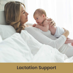Supplement Product​Brewers Yeast Flakes for Lactation Cookies, Breastfeeding Supplement to Boost Mother's Milk (1 Pack) - Non Fortified, Unsweetened - Kosher, Gluten Free, Non GMO, Vegan, Plant Based Protein Powder - Zenith WellnessUSA