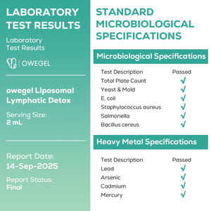 owegel Liposomal Lymphatic Drainage Drops 2000mg – Immune & Lymph System Support – Lymphatic Detox and Cleanse with Echinacea, Red Clover, Dandelion & Cleavers – Sugar-Free, Alcohol-Free – 2 FL OZ owegel buy supplements Au