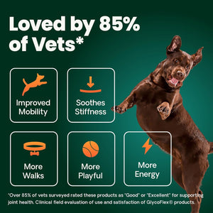 VetriScience Ultimate Strength Healthy Hip & Joint Chews, GlycoFlex Glucosamine, Chondroitin and Green-Lipped Mussel Joint Support Supplement for Dogs, Soothe Joint Discomfort, Duck, 120 Count VETRISCIENCEBuy Supplements Australia