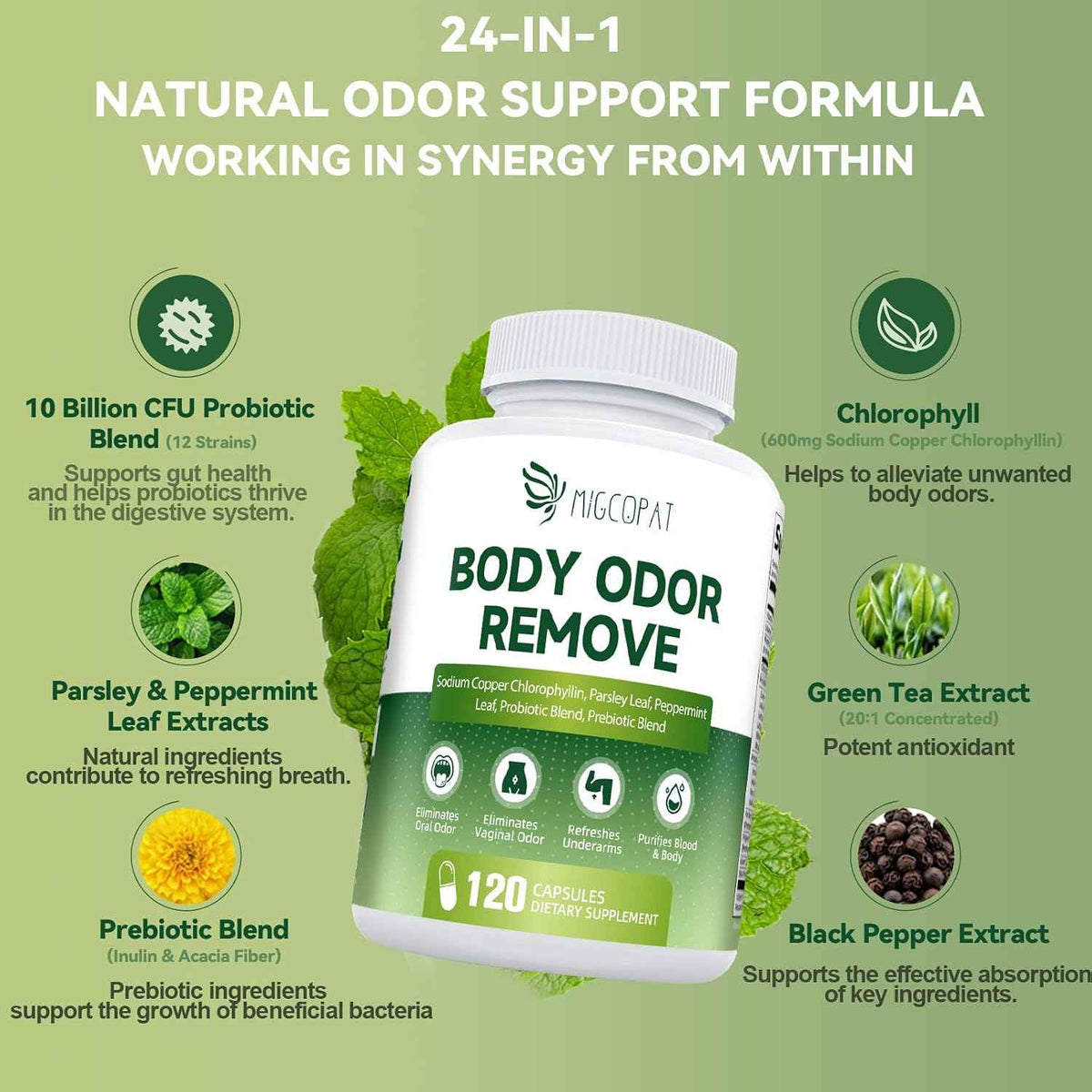 Chlorophyll Body Deodorizing Supplement with 10 Billion CFU Probiotic, Vitamin C & E, Parsley, Peppermint, Green Tea, Prebiotics, Chlorophyll Capsules Supports Breath & Whole-Body Freshness, 120 Caps
