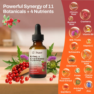 Zeolite Detox Drops for Kids & Kidney Cleanse Drops for Adults - Liquid Supplement Duo with Vitamins C B12 D3, Cranberry, Chanca Piedra, Milk Thistle & Herbal Blend - Mixed Berry & Cranberry Flavor, 6 Pavintrix buy supplements Au
