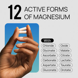 18 in 1 Magnesium Complex for Women and Men | Liposomal Magnesium Supplement with Glycinate, Citrate, Malate, Taurate, D3 & K2 | High Absorption for Muscle, Sleep, Bone, Nerve Support | 90 Capsules Selerb buy supplements Au