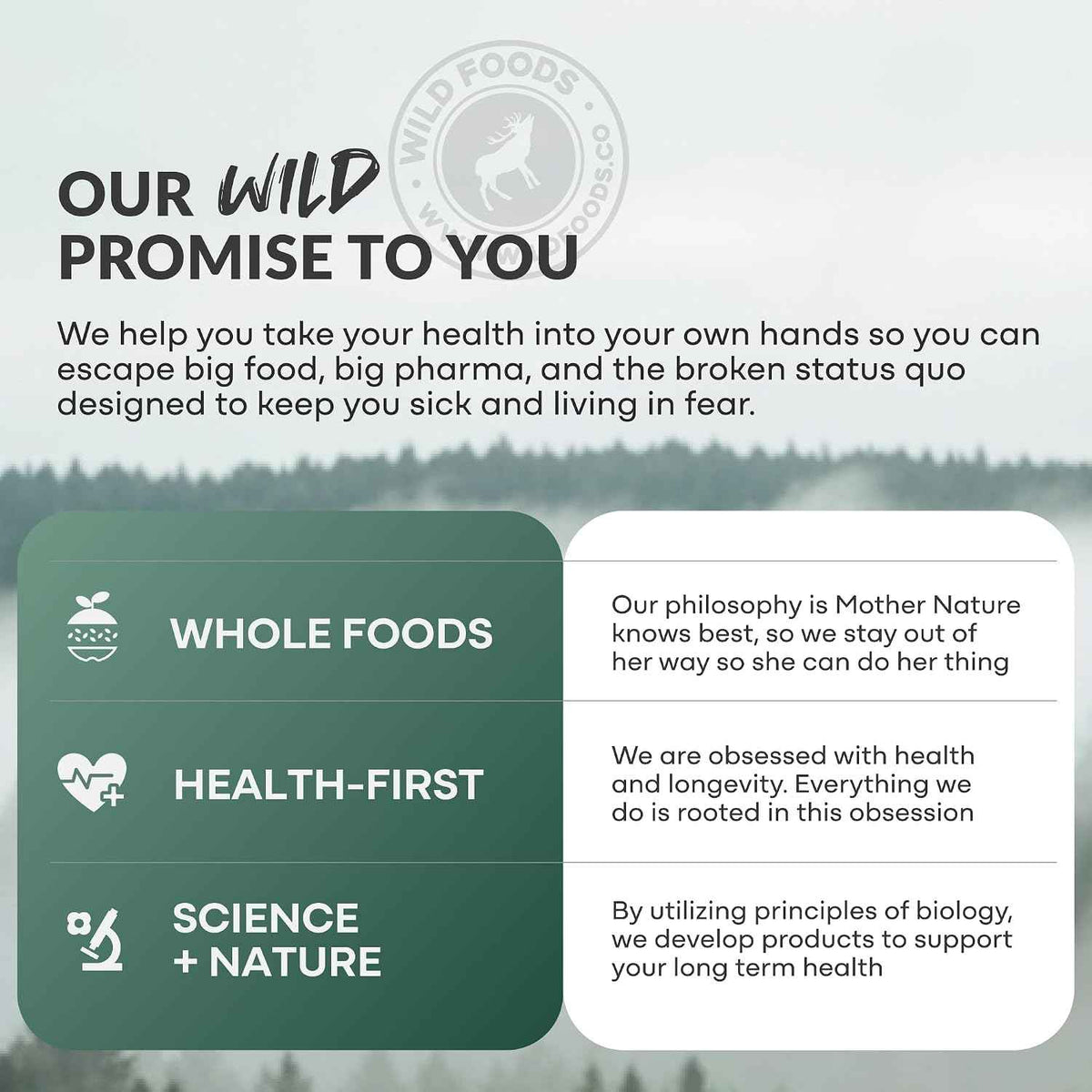 Wild Grass Fed Beef Organ Supplement for Men - Complete Ancestral Nutrition Complex with Beef Liver, Testicle, Prostate & Bone Matrix - Organ Meat Supplements - 30 Day Supply