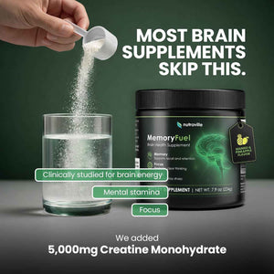 Memory Fuel Creatine Monohydrate Powder for Brain Energy & Focus | 5,000mg Micronized Creatine with L-Theanine, Choline & Magnesium, Cognitive Support for Adults, No Crash, 1 Scoop Daily
