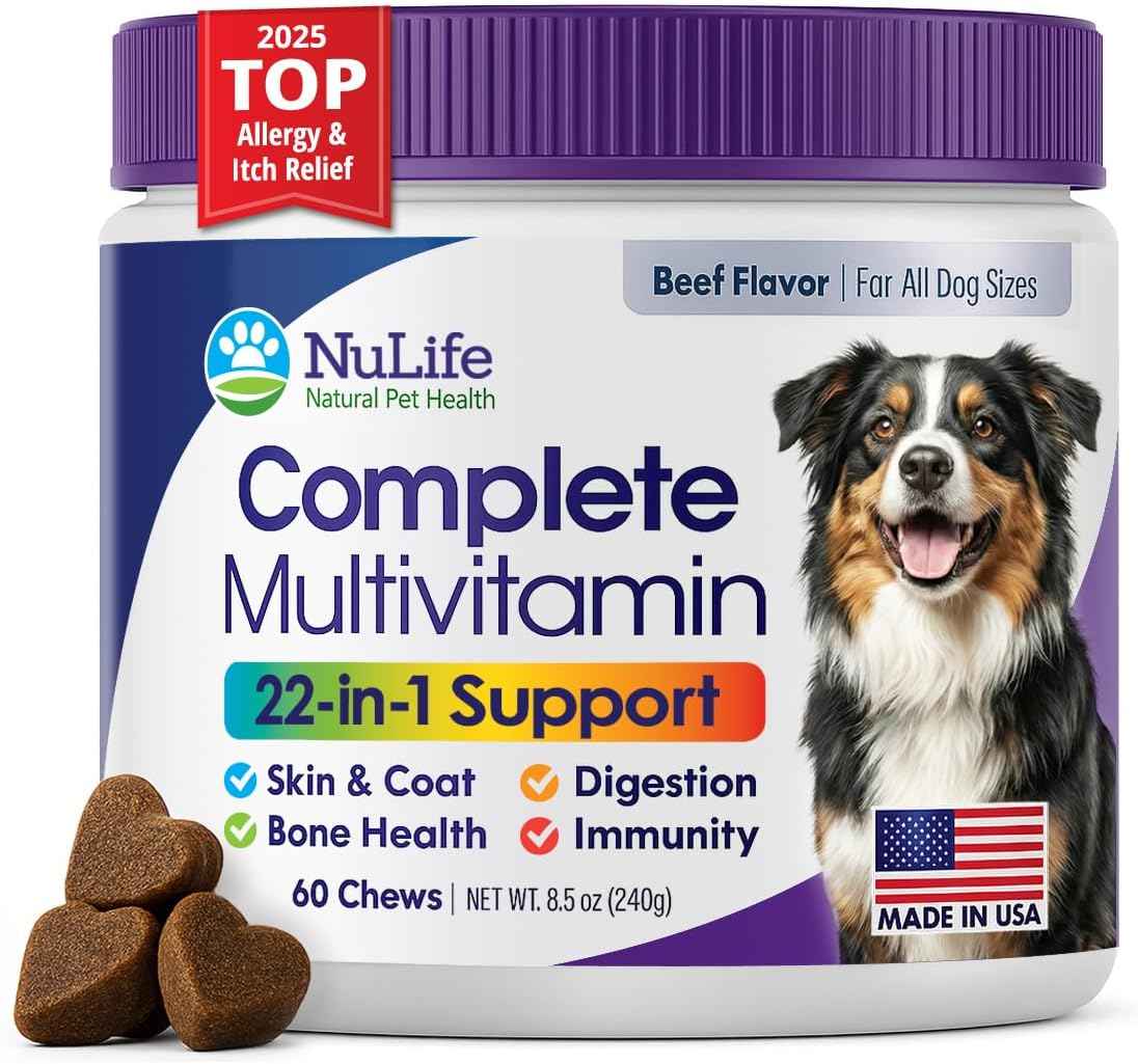 Dog Multivitamin Chewable - 22 in 1 Dog Vitamins and Supplements with Green Lipped Mussel & Omega 3 for Joints, Skin & Coat, Immune System - Senior & Puppy Multivitamin for Dogs - 60 Beef Chews