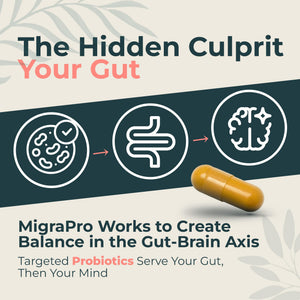 Dr. Munnerlyn MigraPro with Probiotics, Brain and Gut Health Support Supplement with Magnesium, Riboflavin, CoQ10, Ginger Root, Asian Ginseng, Vitamin C, Feverfew & Turmeric, Gluten Free, 90 Capsules Dr. Munnerlyn buy supplements Au