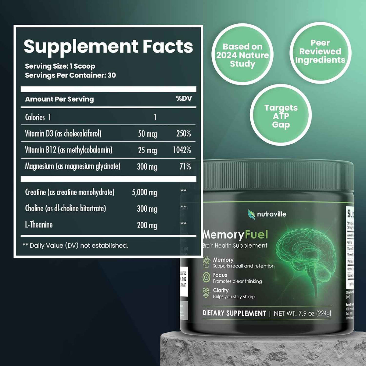 Memory Fuel Creatine Monohydrate Powder for Brain Energy & Focus | 5,000mg Micronized Creatine with L-Theanine, Choline & Magnesium, Cognitive Support for Adults, No Crash, 1 Scoop Daily
