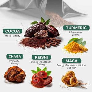 Organic Cocotropic Mushroom Hot Cocoa - Mushroom Coffee Alternative | Sugar Free Hot Chocolate | Organic Cocoa Powder, Reishi Mushrooms, Chaga, Maca Root, Turmeric | Delicious Sustained Focus, Energy & Mood Without Jitters | 16oz