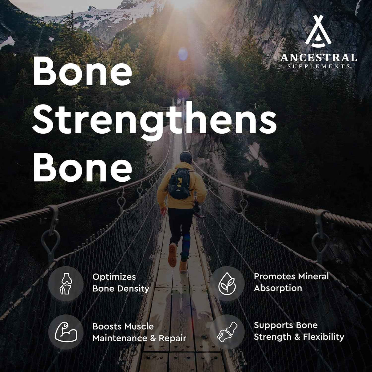 Ancestral Supplements Grass Fed Beef Living Bone Supplement, 180 Ct | Grassfed bone meal capsule supporting calcium and phosphorus absorption, bone, oral and joint health & flexibility.