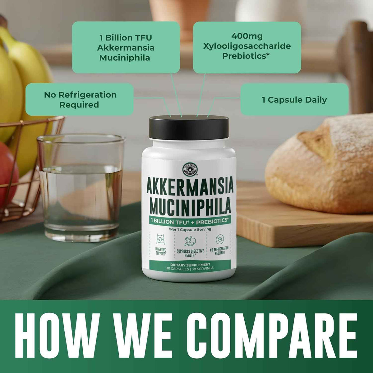 Akkermansia Muciniphila Supplement With Prebiotics, 30 Capsules | 1 Billion CFU With XOS Prebiotic - Supports Gut Health, Mirobiome Balance & Digestive Health - Gluten Free