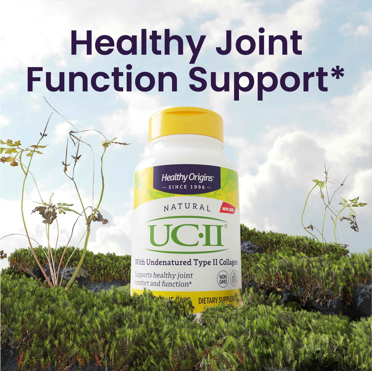 Healthy Origins UC-II Collagen 40 mg, 120 Veggie Caps