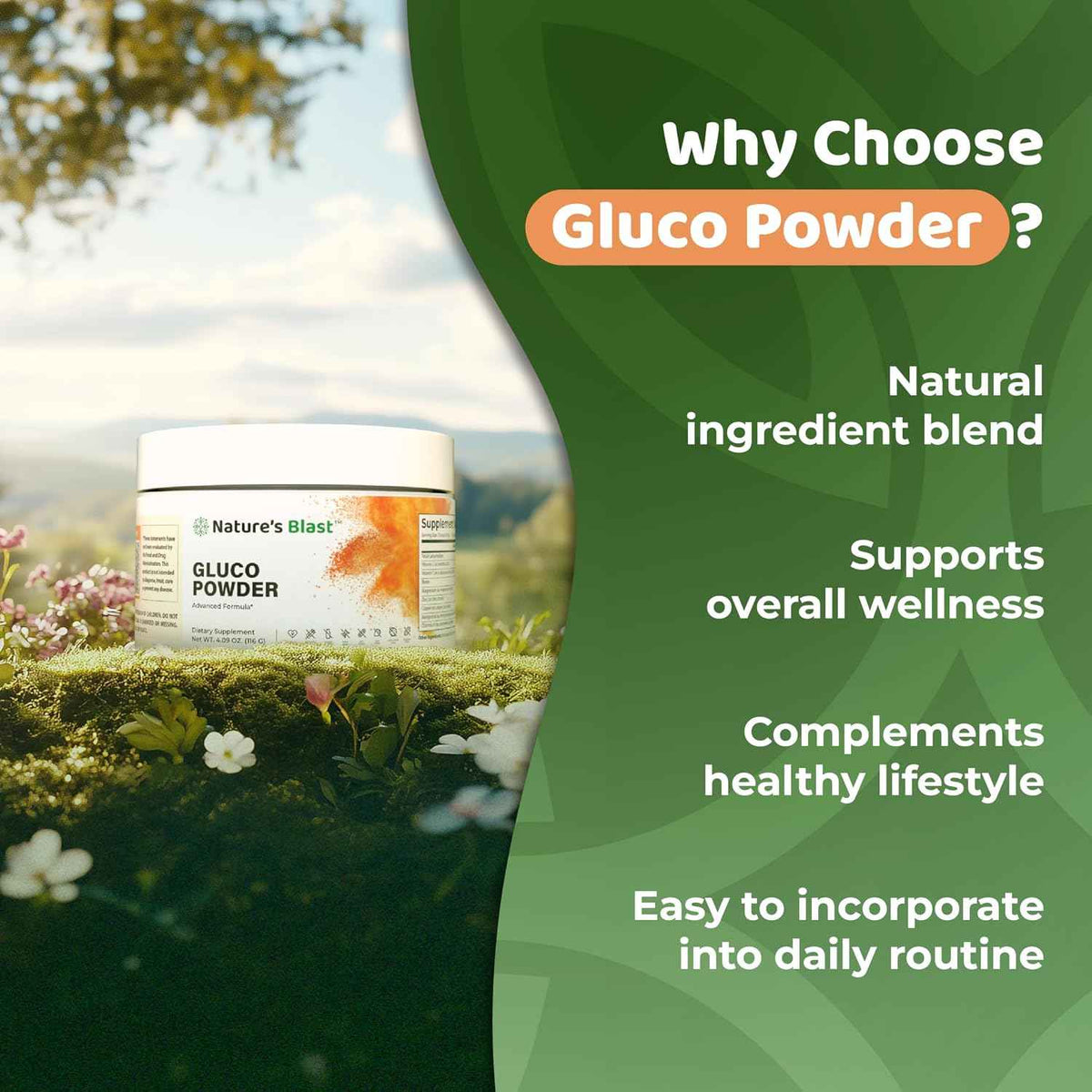 Gluco-Powder | Metabolic Wellness Blend for Energy & Vitality | White Mulberry Extract & Ceylon Cinnamon, Metabolic Wellness Blend, Energy & Vitality. 30 Days Supply. Orange Cinnamon flavor
