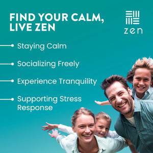WellPath Zen Stress Relief Supplement + Mood Support | Calm, Stress & Energy Support | Ashwagandha Root, Rhodiola Rosea, L-Theanine, Lemon Balm | Herbal Capsules, 60 Ct WellPathBuy Supplements Australia