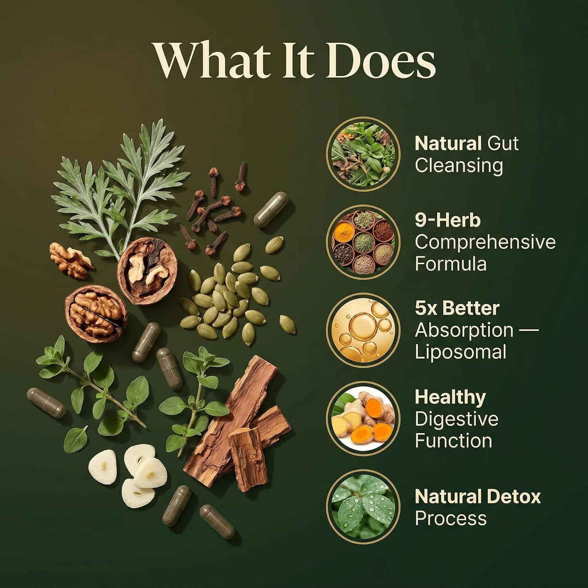 Parasite Cleanse for Humans - Liposomal Herbal Gut Detox Support, Combination with Black Walnut, Wormwood, Clove, Pumpkin Seed, Garlic, Oregano, Pau D’Arco & Papaya - Intestinal Support - 120 Capsules